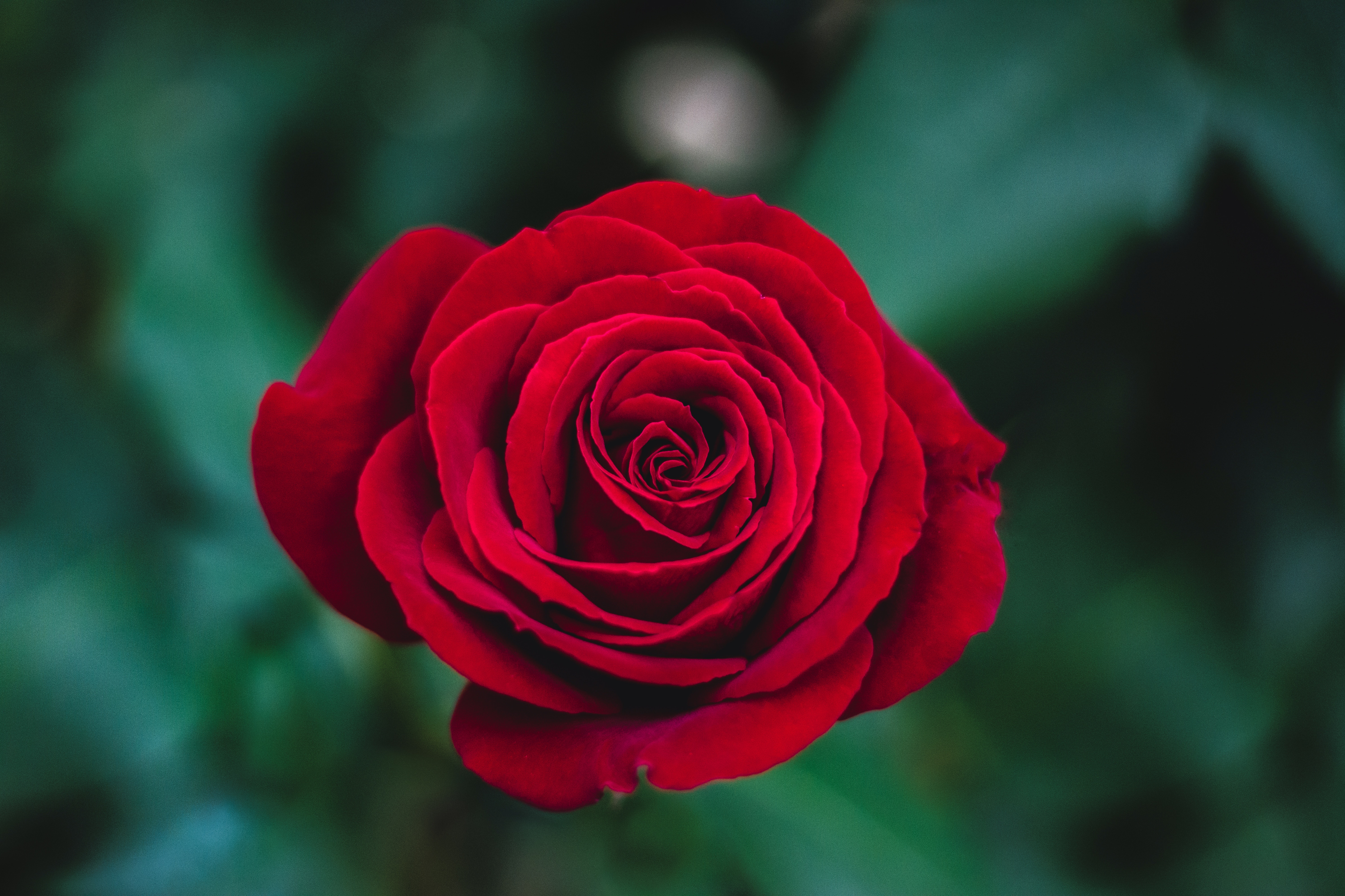 Love Your Future Self: At Peace With Money